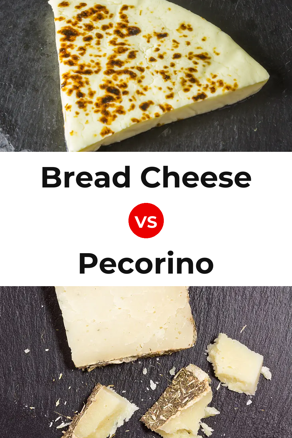 Bread Cheese vs Pecorino Cheese Pinterest comparison
