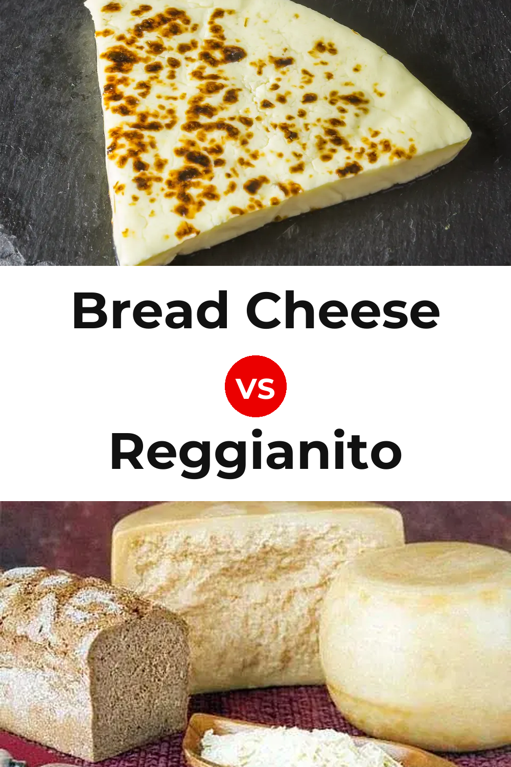 Bread Cheese vs Reggianito Cheese Pinterest comparison