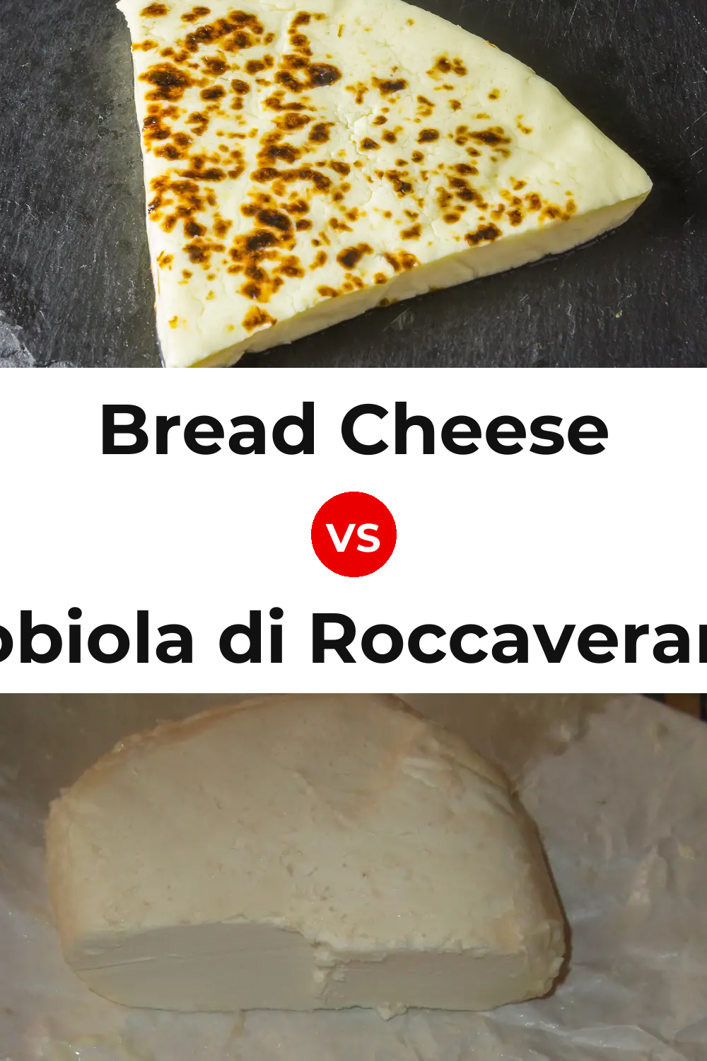 Bread Cheese vs Robiola di Roccaverano Cheese Pinterest comparison