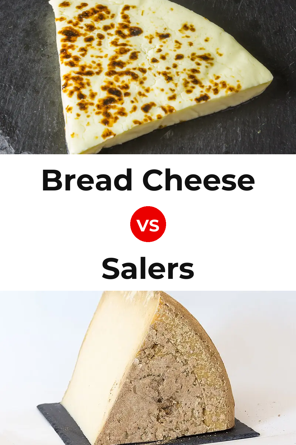 Bread Cheese vs Salers Cheese Pinterest comparison