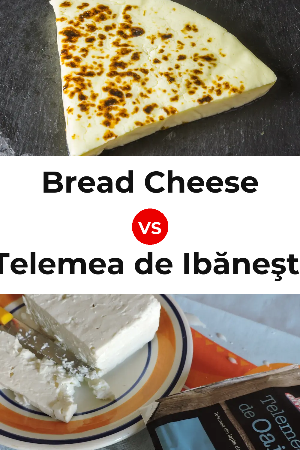 Bread Cheese vs Telemea de Ibăneşti Cheese Pinterest comparison