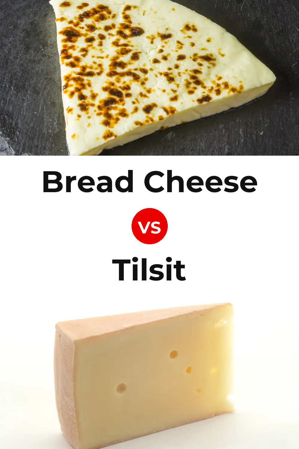 Bread Cheese vs Tilsit Cheese Pinterest comparison