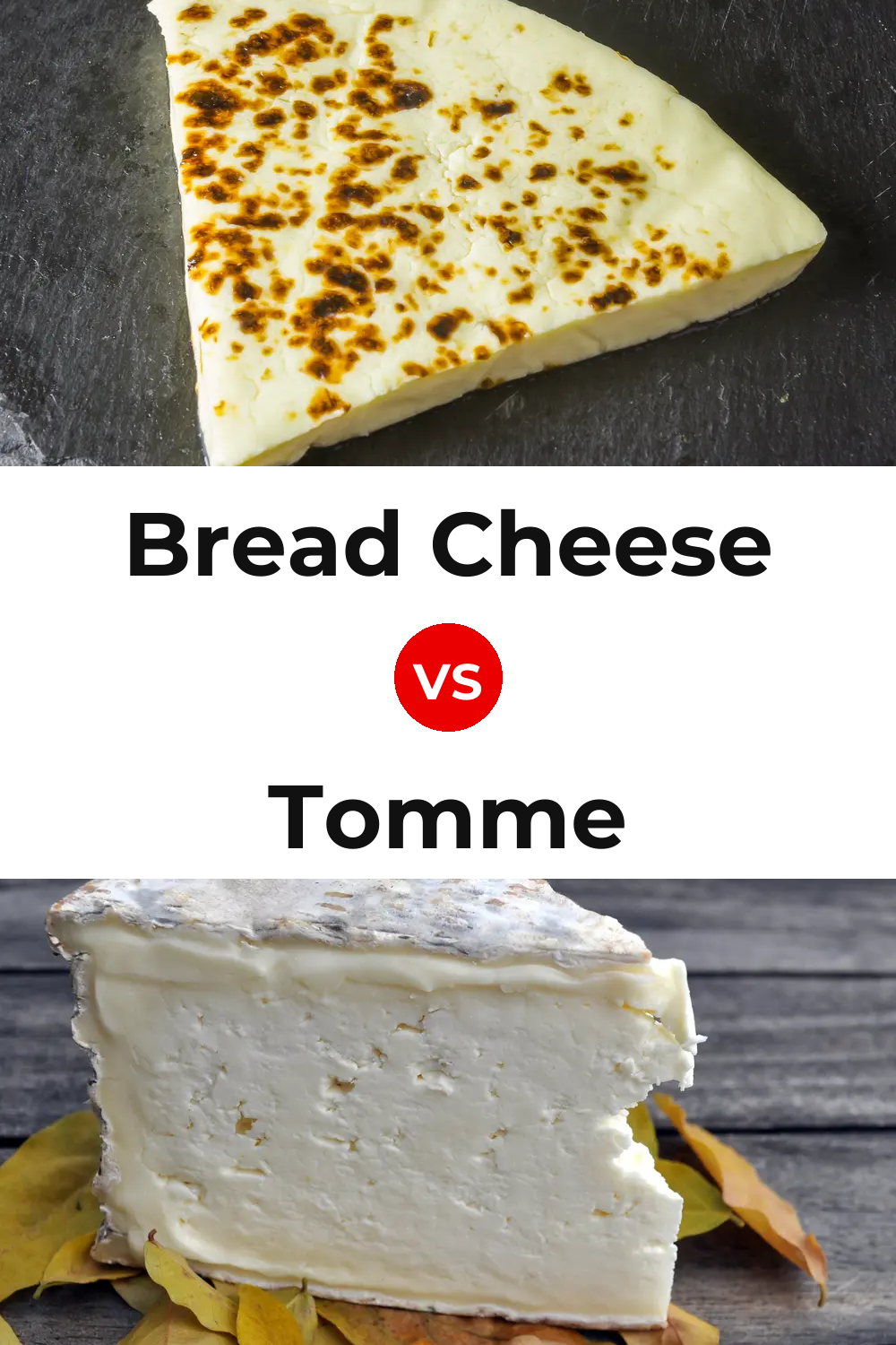 Bread Cheese vs Tomme Cheese Pinterest comparison