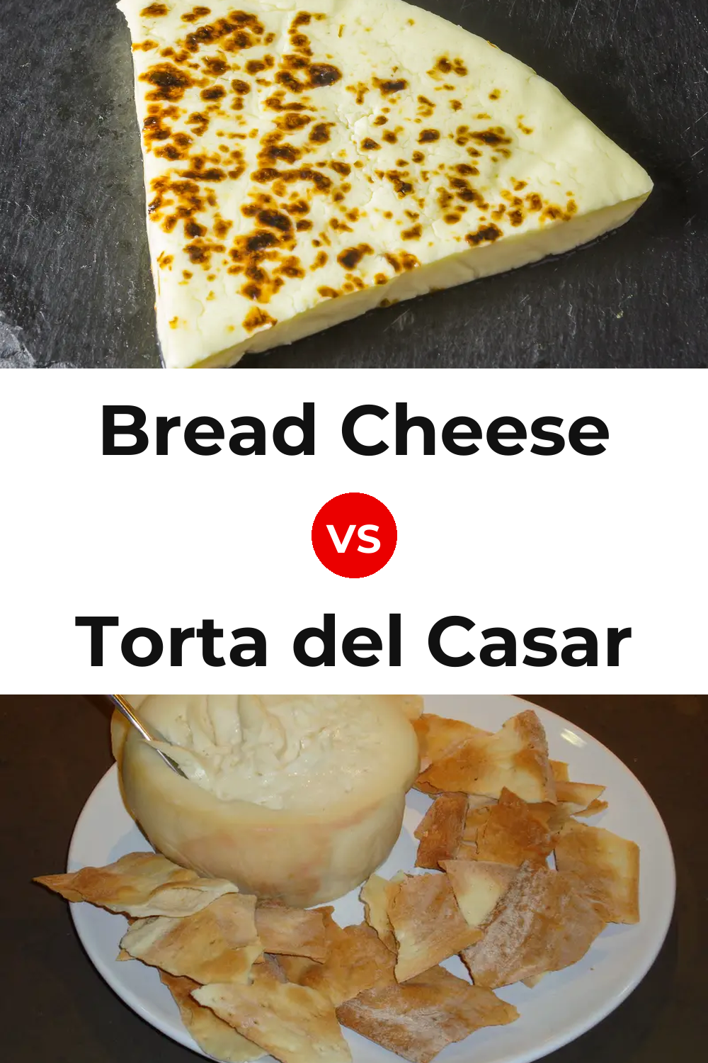 Bread Cheese vs Torta del Casar Cheese Pinterest comparison