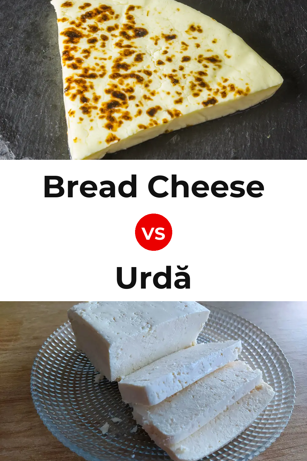 Bread Cheese vs Urdă Cheese Pinterest comparison