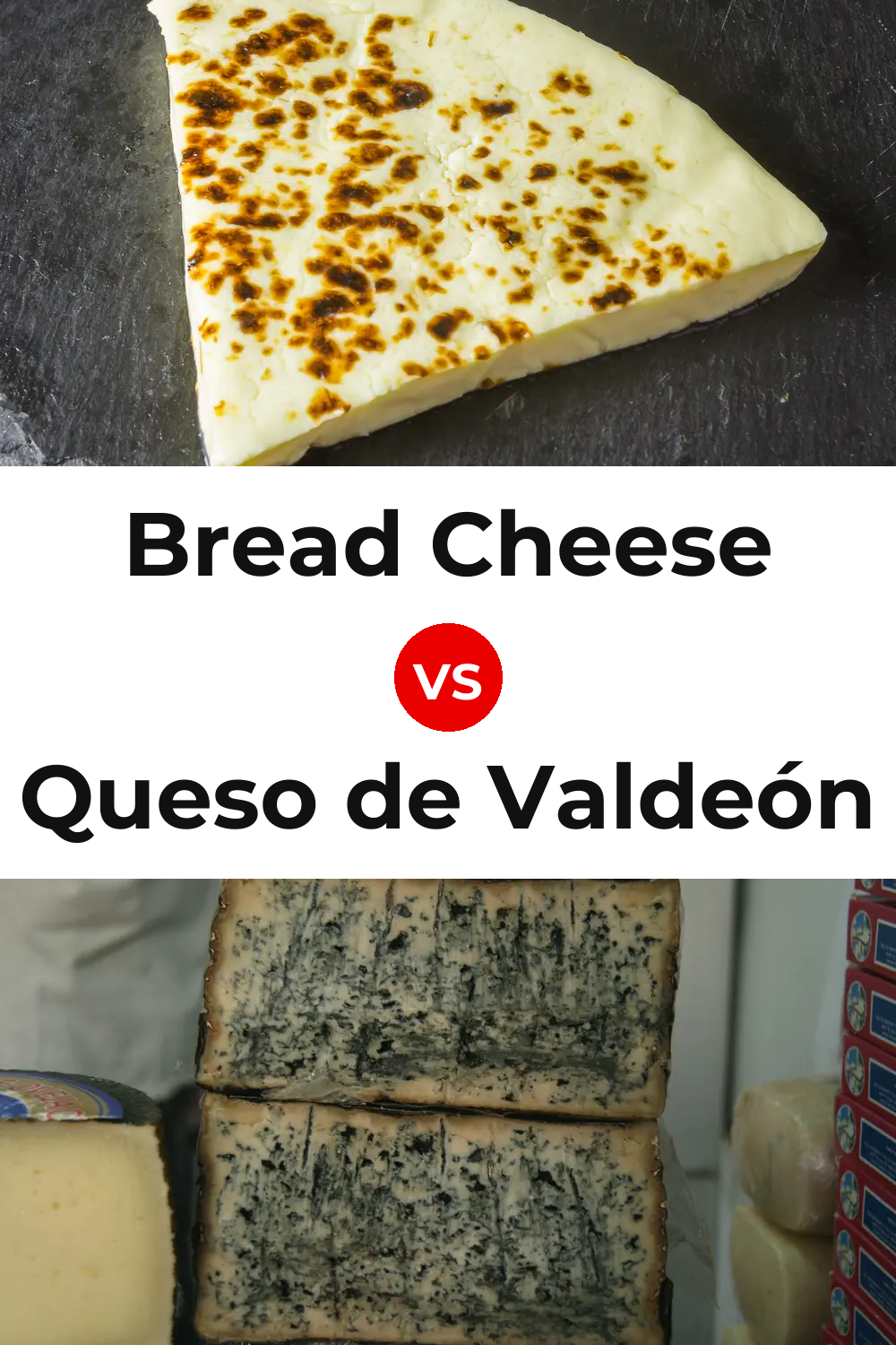 Bread Cheese vs Queso de Valdeón Pinterest comparison