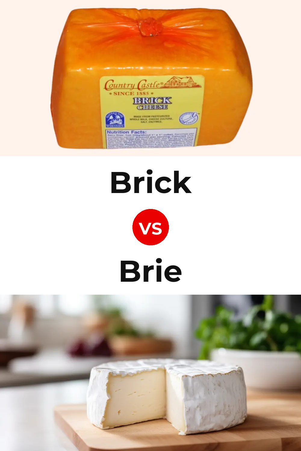 Brick Cheese vs Brie Cheese Pinterest comparison