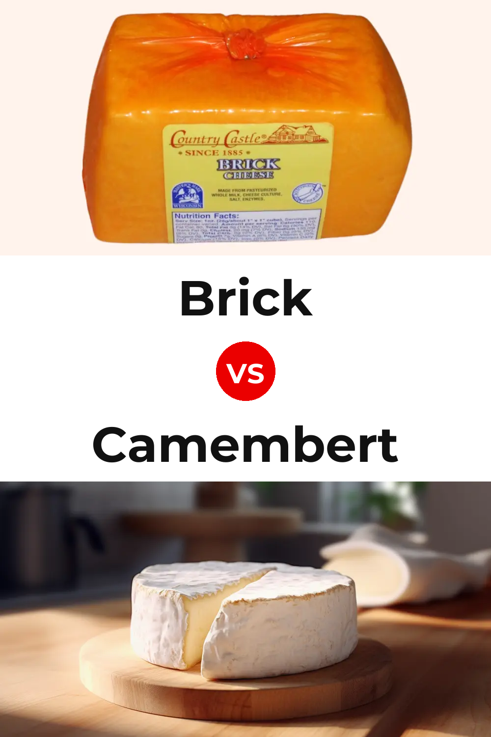 Brick Cheese vs Camembert Cheese Pinterest comparison