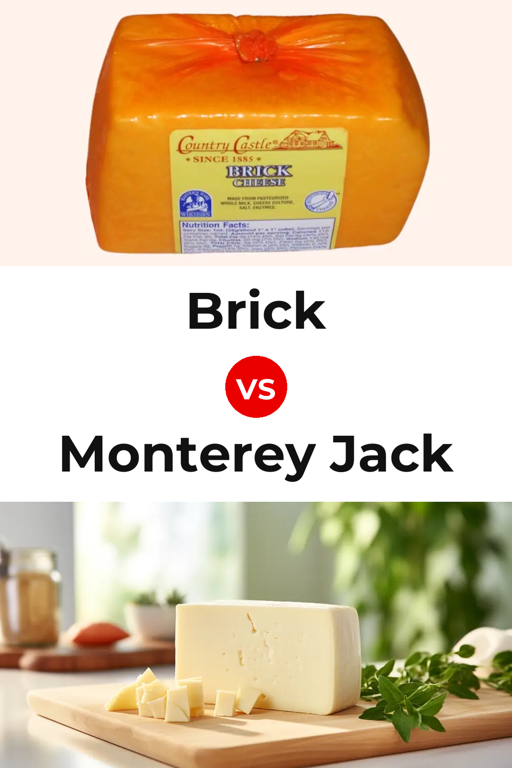 Brick Cheese vs Monterey Jack Cheese Pinterest comparison