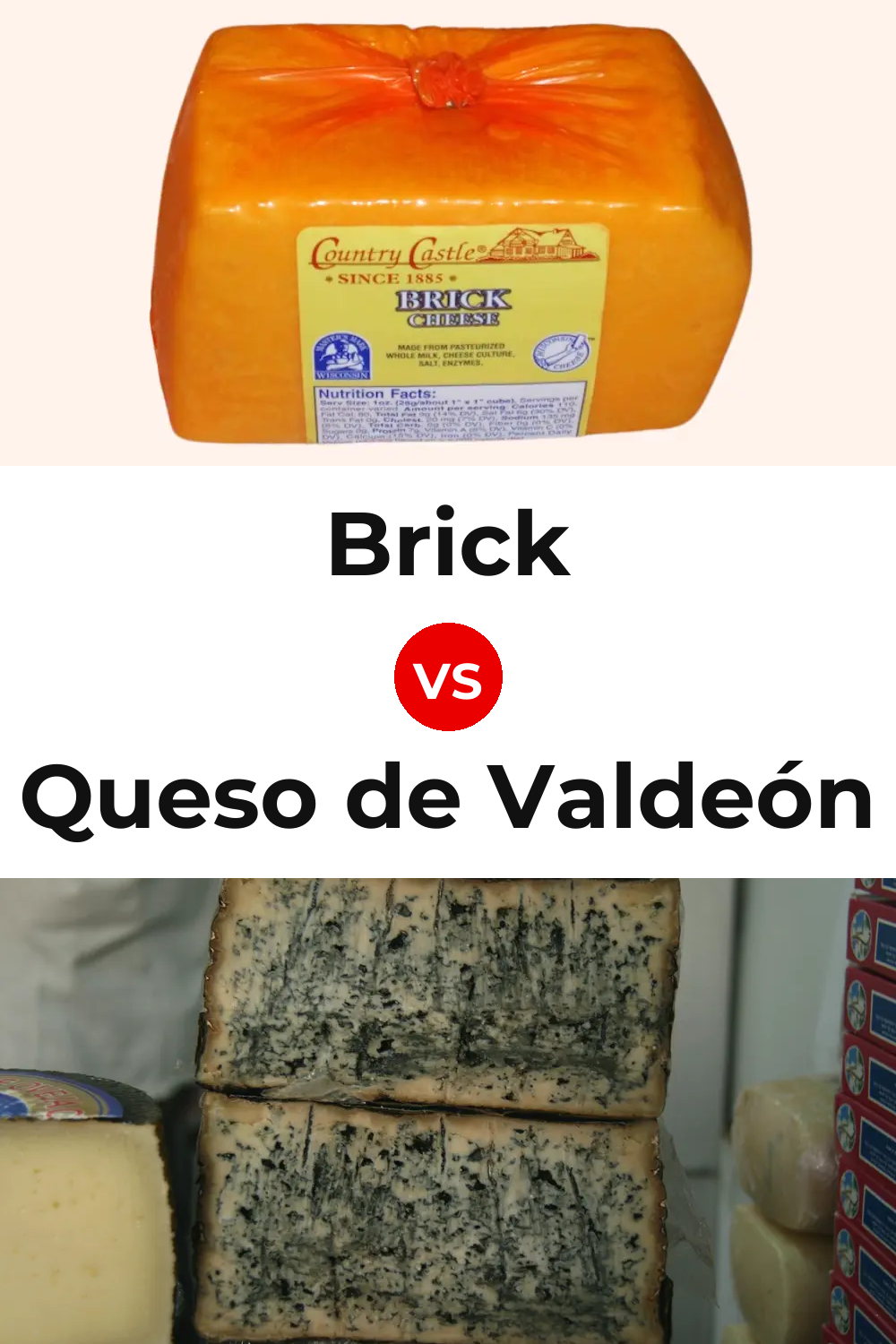 Brick Cheese vs Queso de Valdeón Pinterest comparison