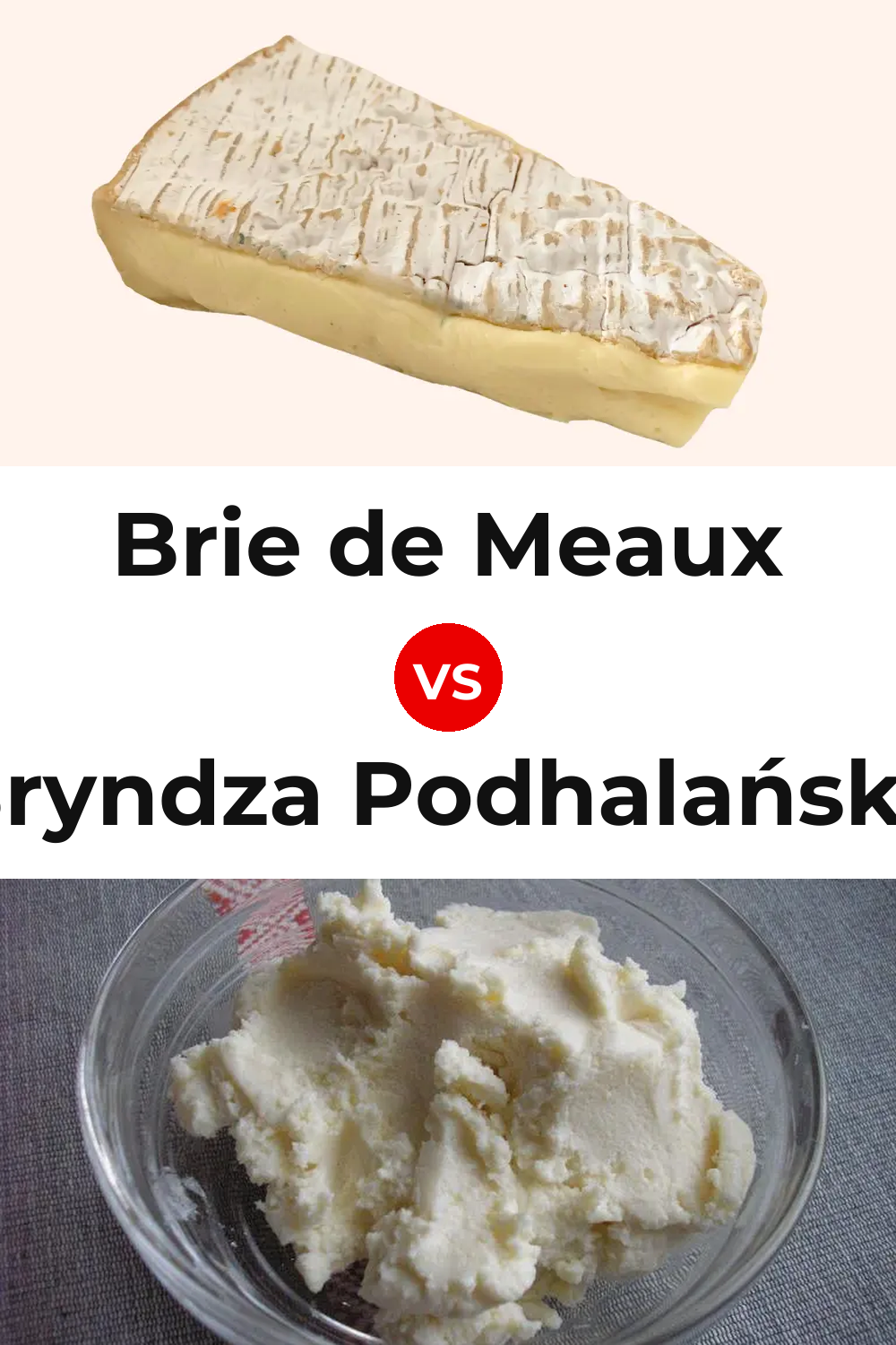 Brie de Meaux Cheese vs Bryndza Podhalańska Cheese Pinterest comparison