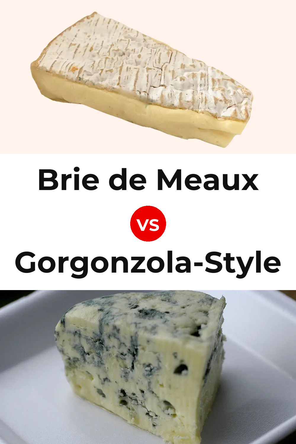 Brie de Meaux Cheese vs Gorgonzola-Style Cheese Pinterest comparison