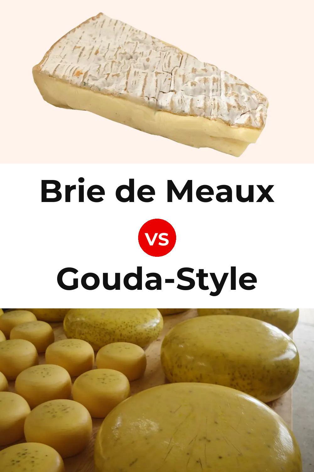 Brie de Meaux Cheese vs Gouda-Style Cheese Pinterest comparison