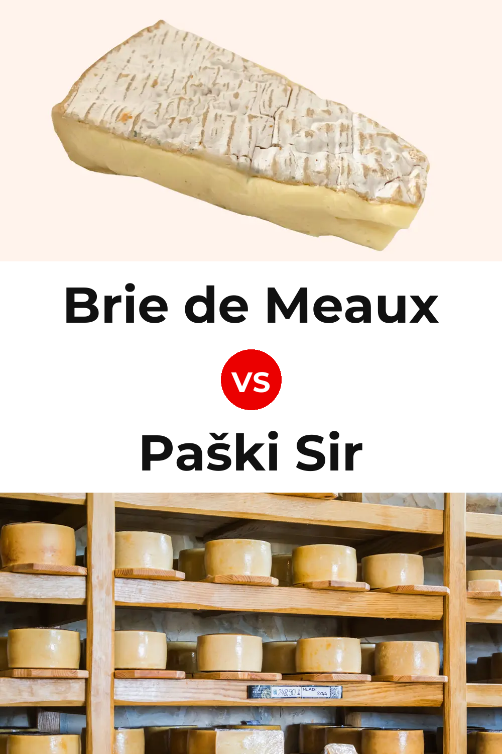 Brie de Meaux Cheese vs Paški Sir Cheese Pinterest comparison