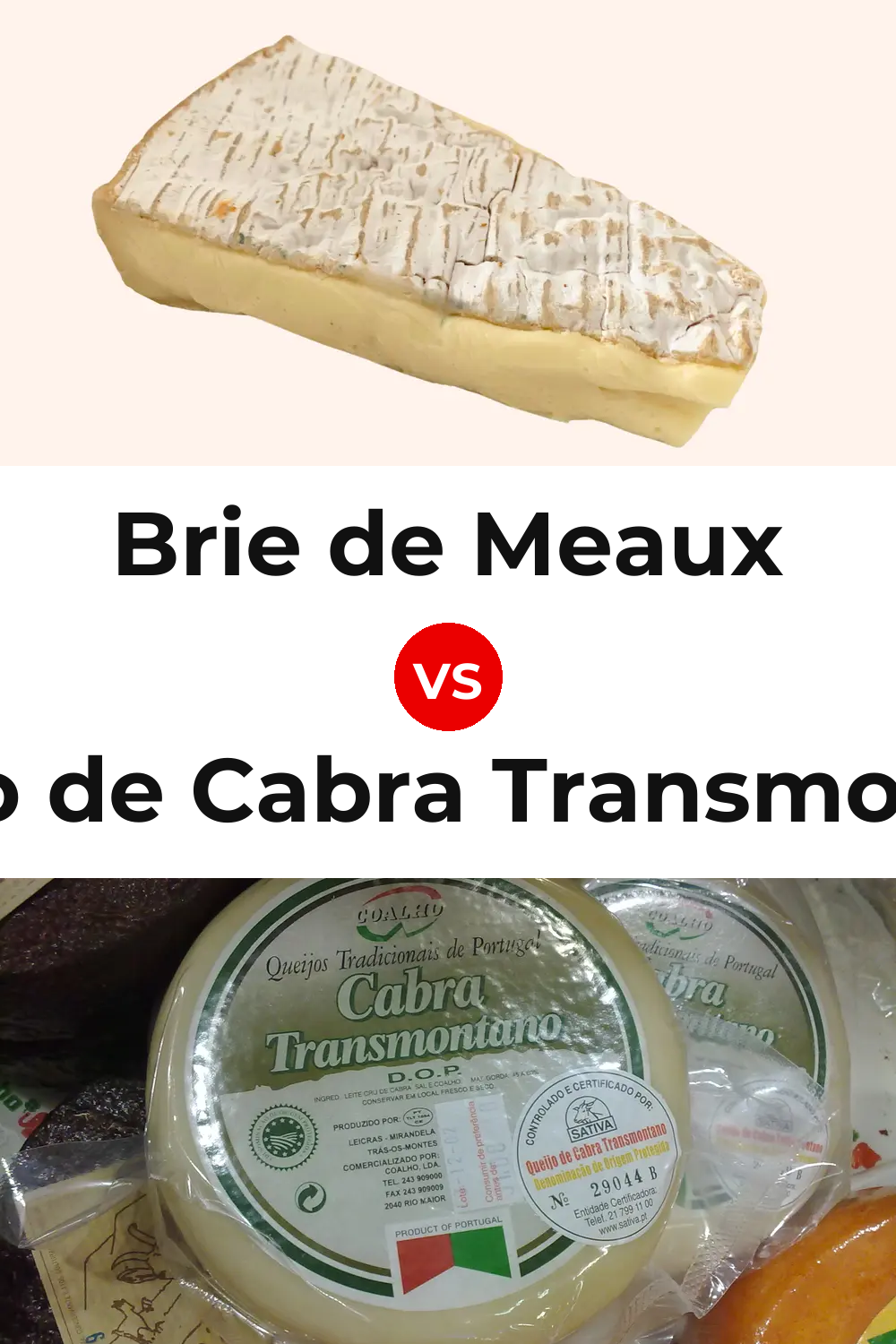 Brie de Meaux Cheese vs Queijo de Cabra Transmontano Pinterest comparison