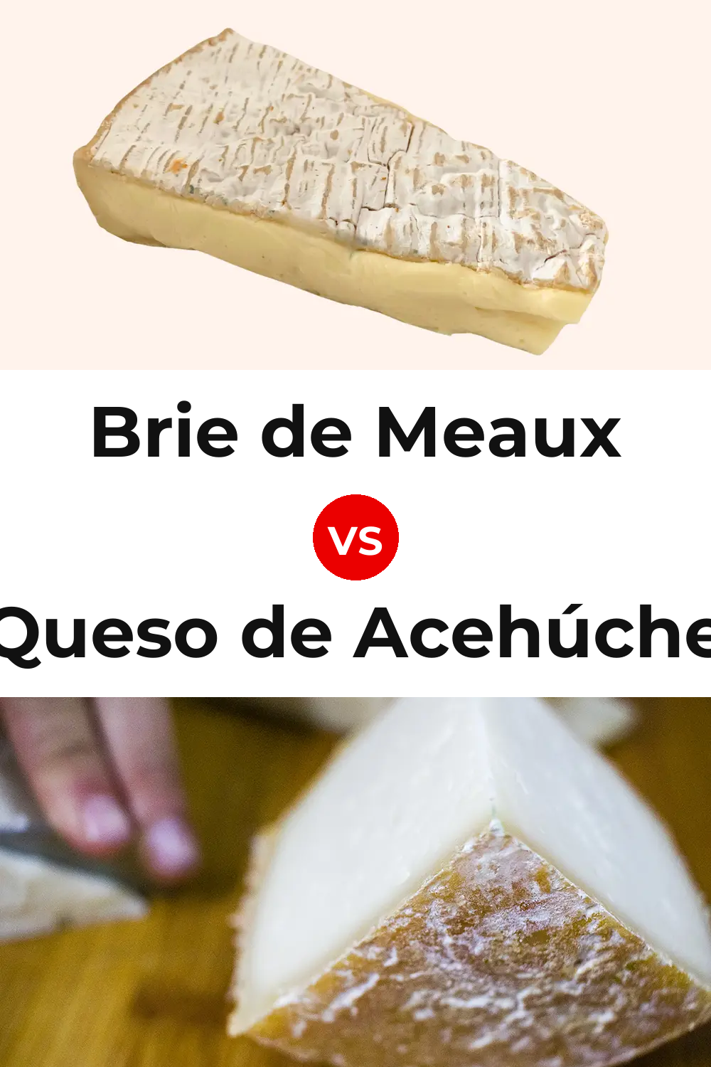 Brie de Meaux Cheese vs Queso de Acehúche Pinterest comparison