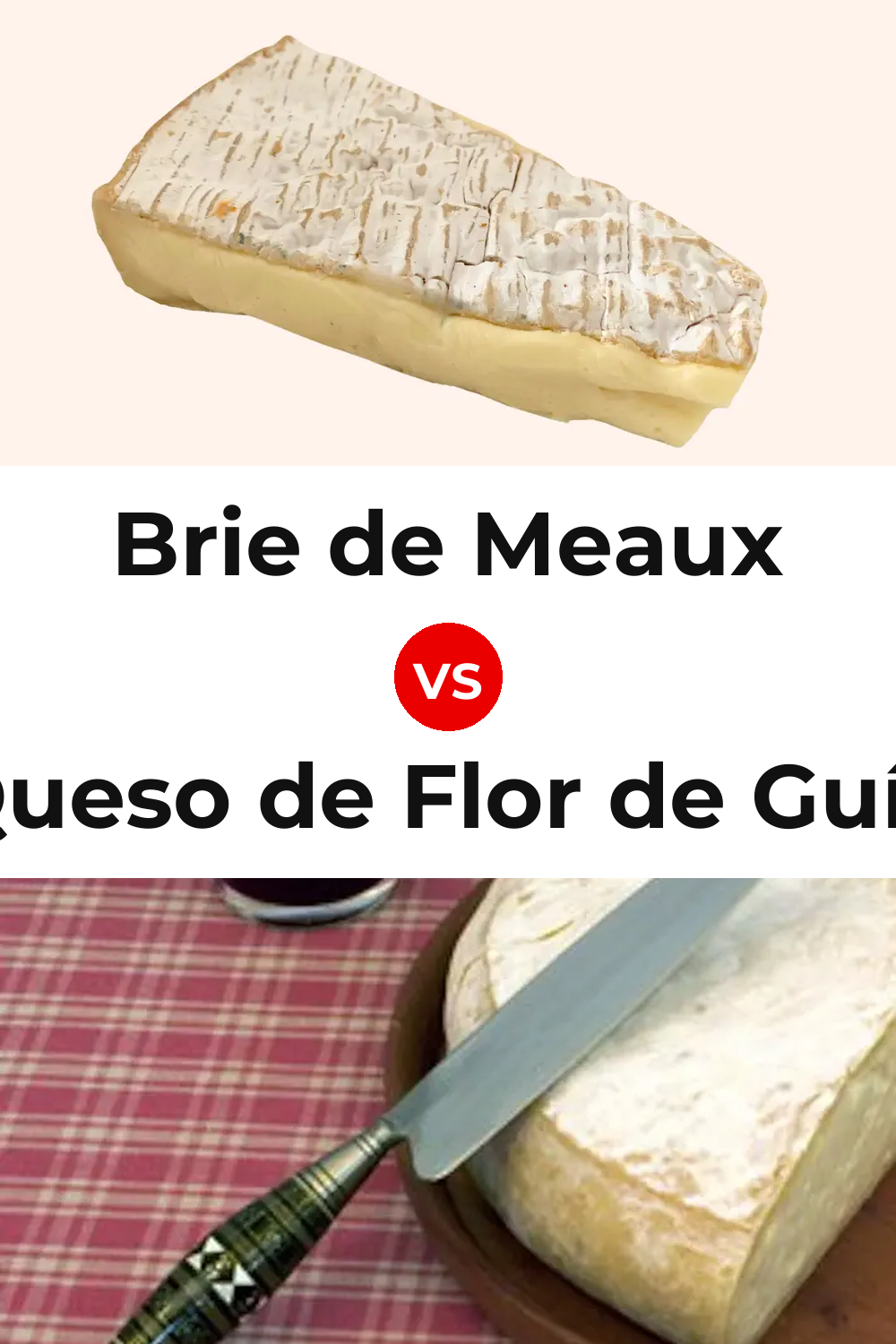 Brie de Meaux Cheese vs Queso de Flor de Guía Pinterest comparison