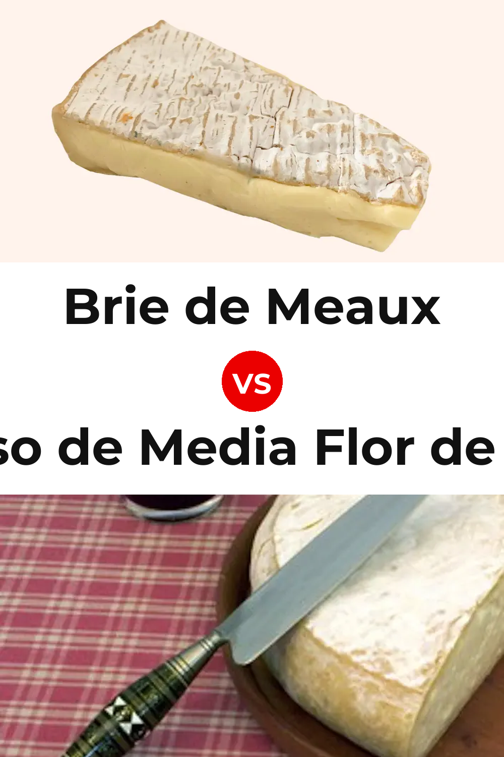 Brie de Meaux Cheese vs Queso de Media Flor de Guía Pinterest comparison