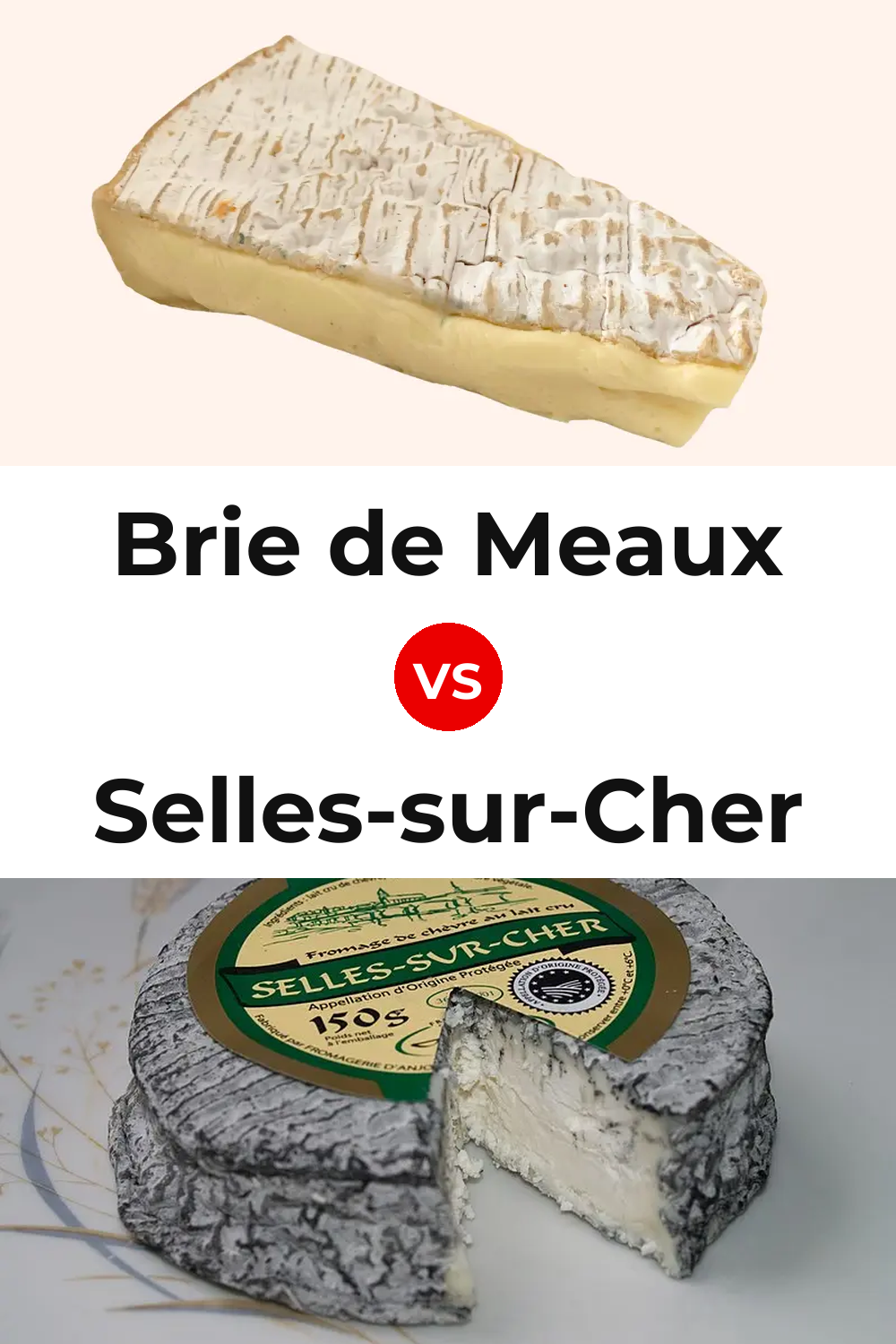 Brie de Meaux Cheese vs Selles-sur-Cher Cheese Pinterest comparison