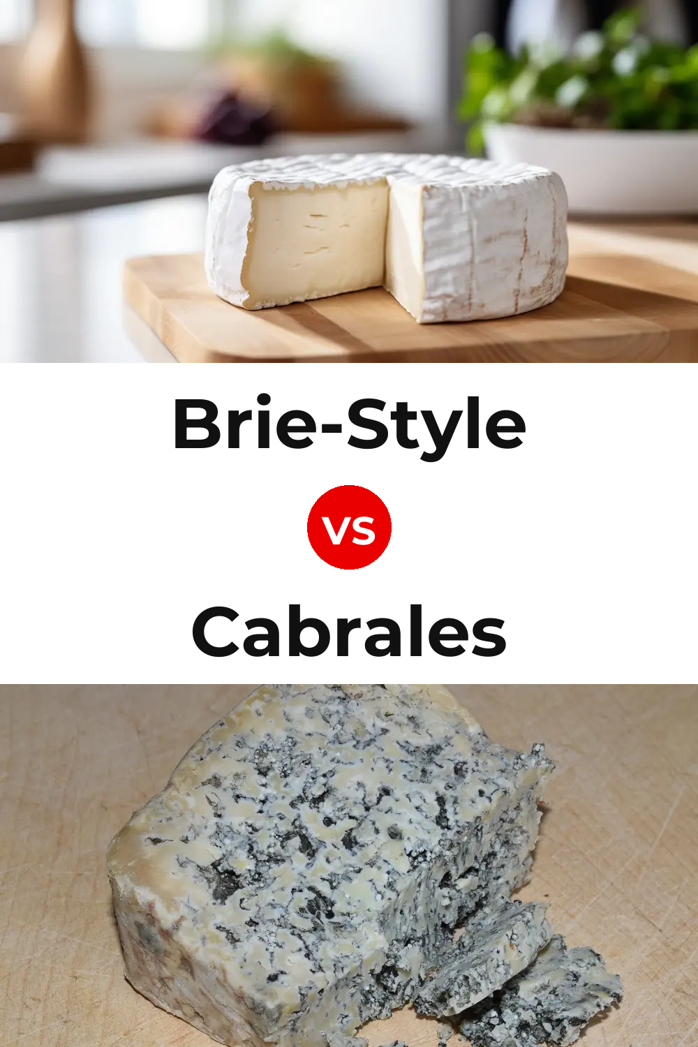Brie-Style Cheese vs Cabrales Cheese Pinterest comparison