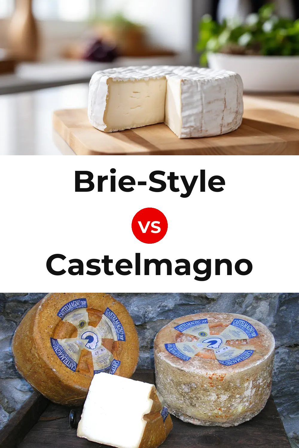 Brie-Style Cheese vs Castelmagno Cheese Pinterest comparison