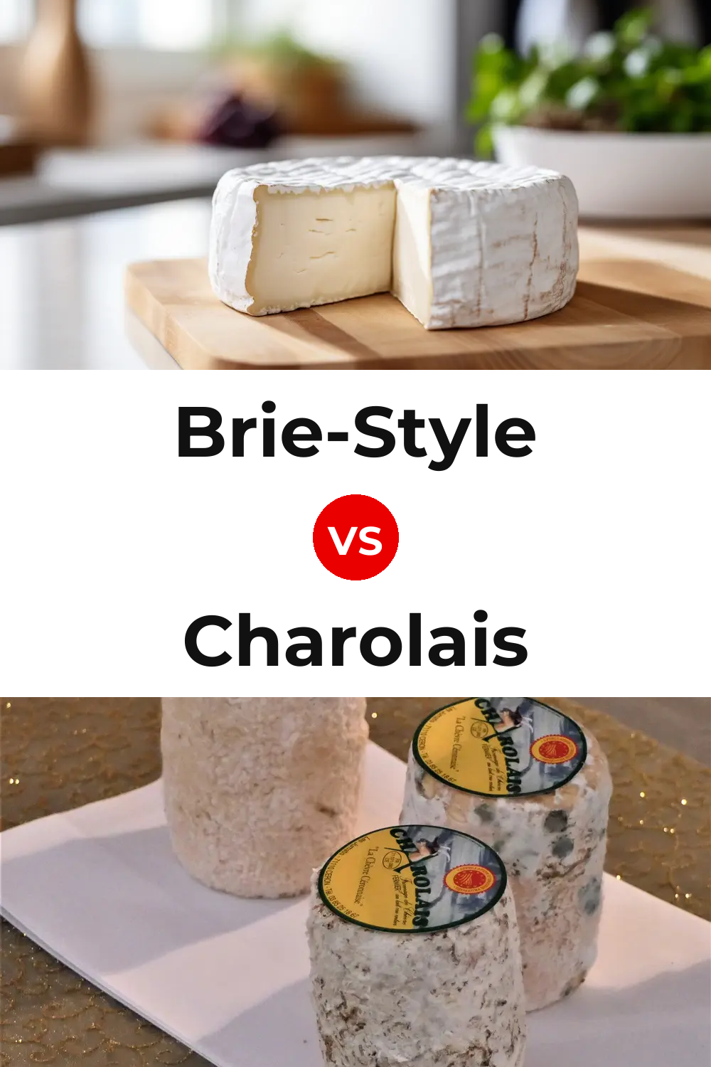 Brie-Style Cheese vs Charolais Cheese Pinterest comparison