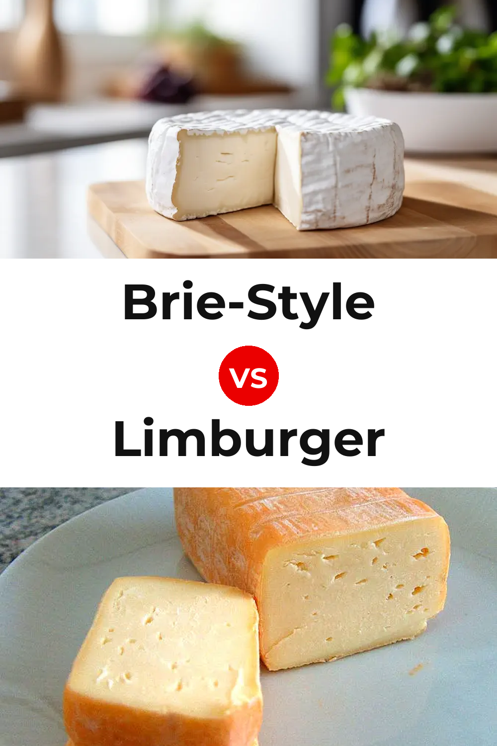Brie-Style Cheese vs Limburger Cheese Pinterest comparison