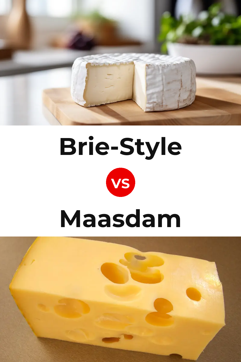 Brie-Style Cheese vs Maasdam Cheese Pinterest comparison