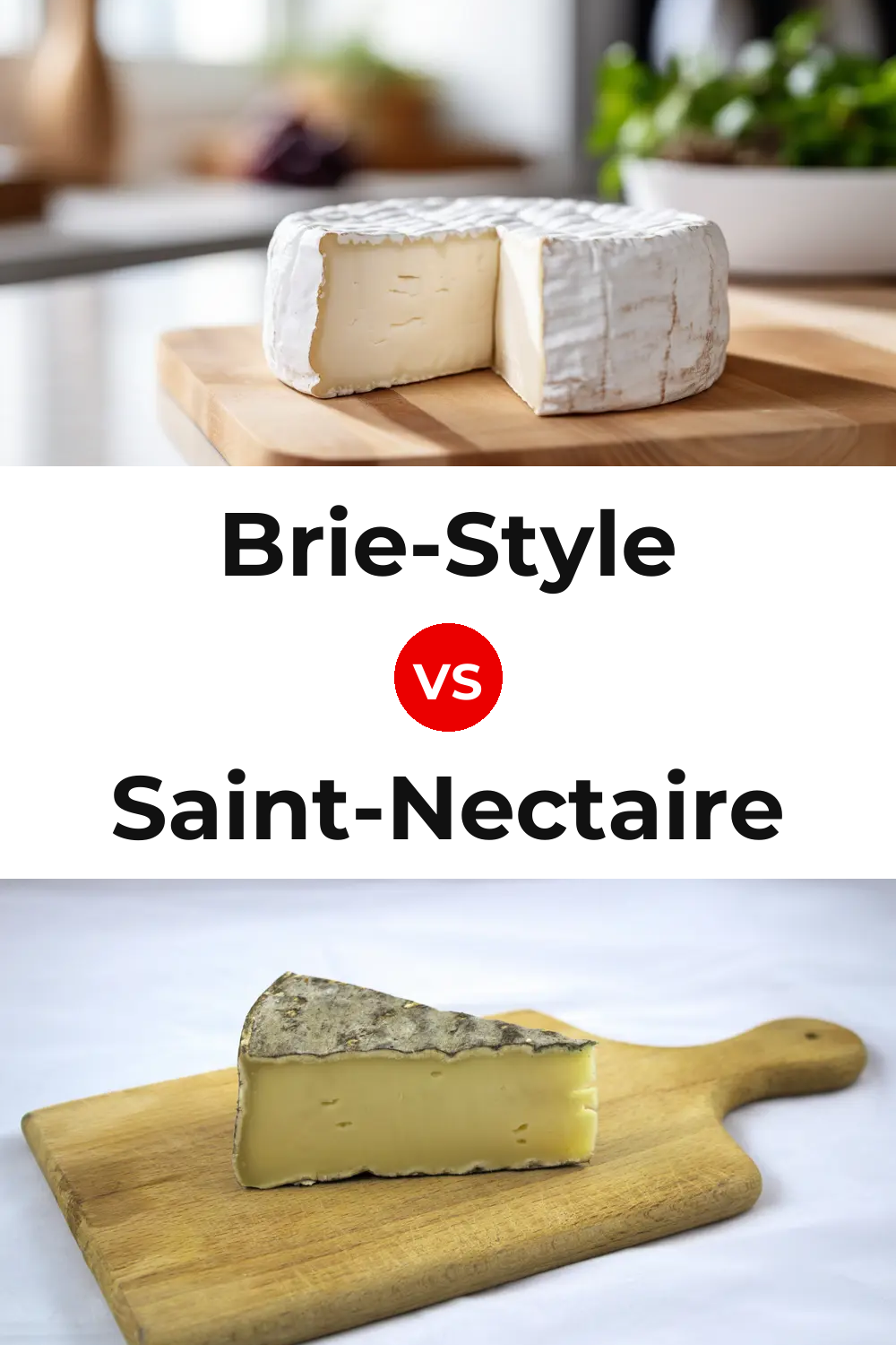 Brie-Style Cheese vs Saint-Nectaire Cheese Pinterest comparison
