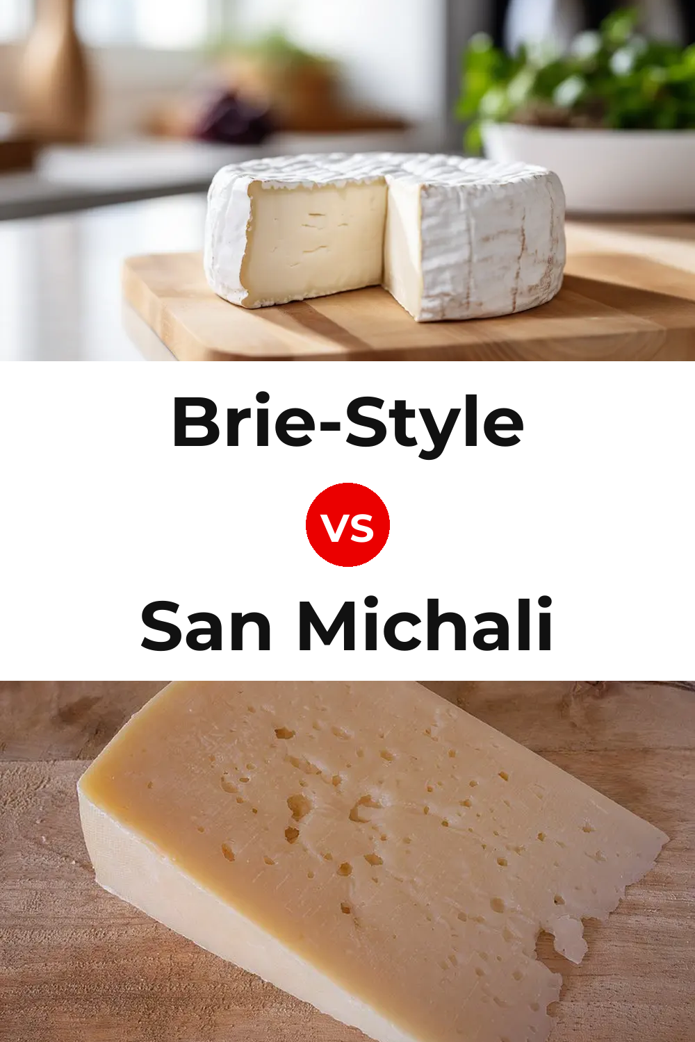 Brie-Style Cheese vs San Michali Cheese Pinterest comparison