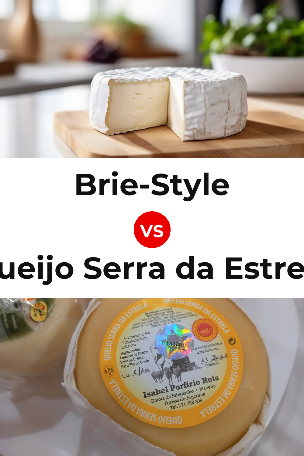Brie-Style Cheese vs Queijo Serra da Estrela Pinterest comparison