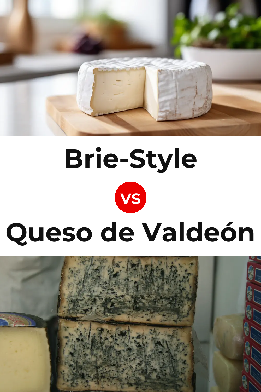 Brie-Style Cheese vs Queso de Valdeón Pinterest comparison