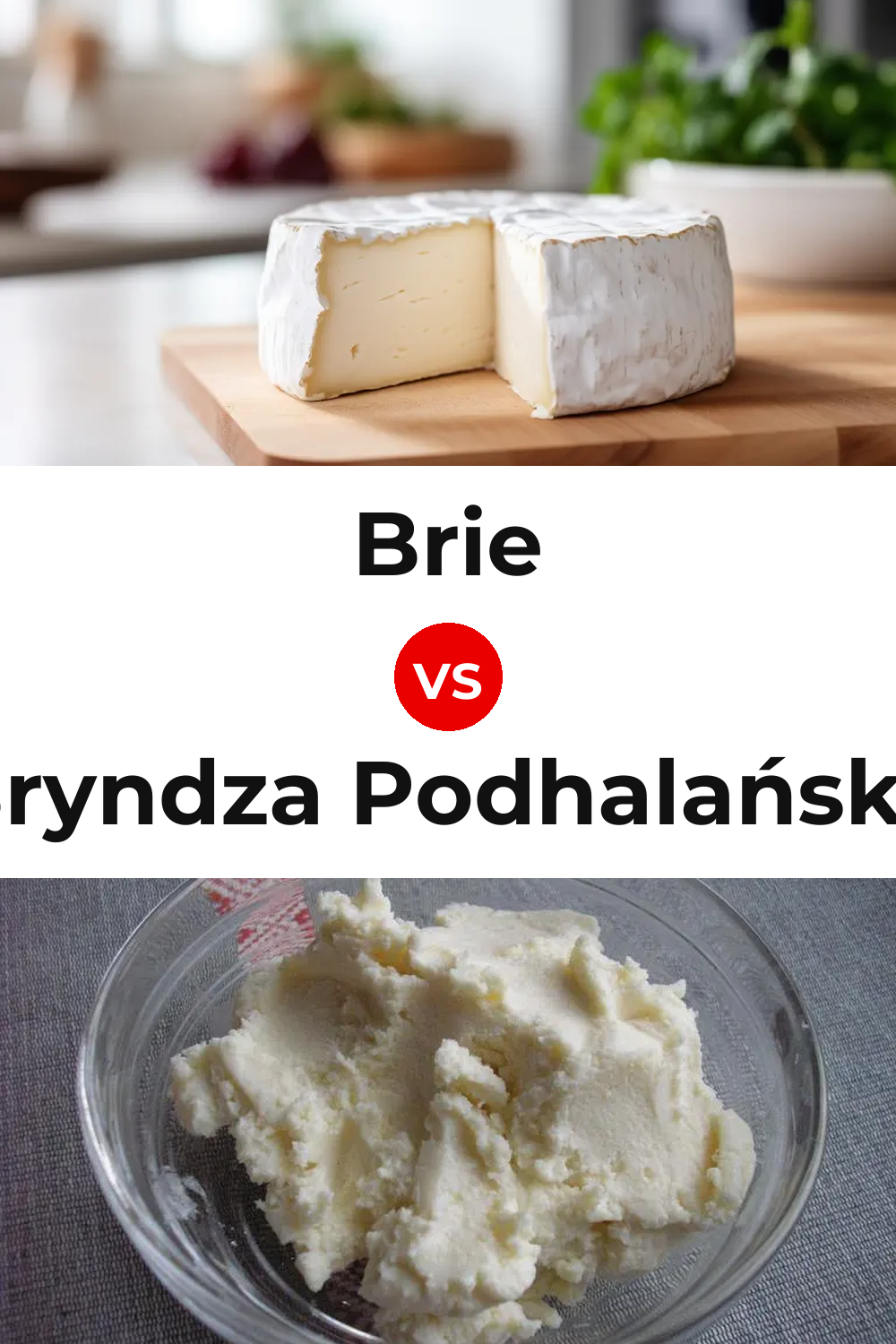Brie Cheese vs Bryndza Podhalańska Cheese Pinterest comparison