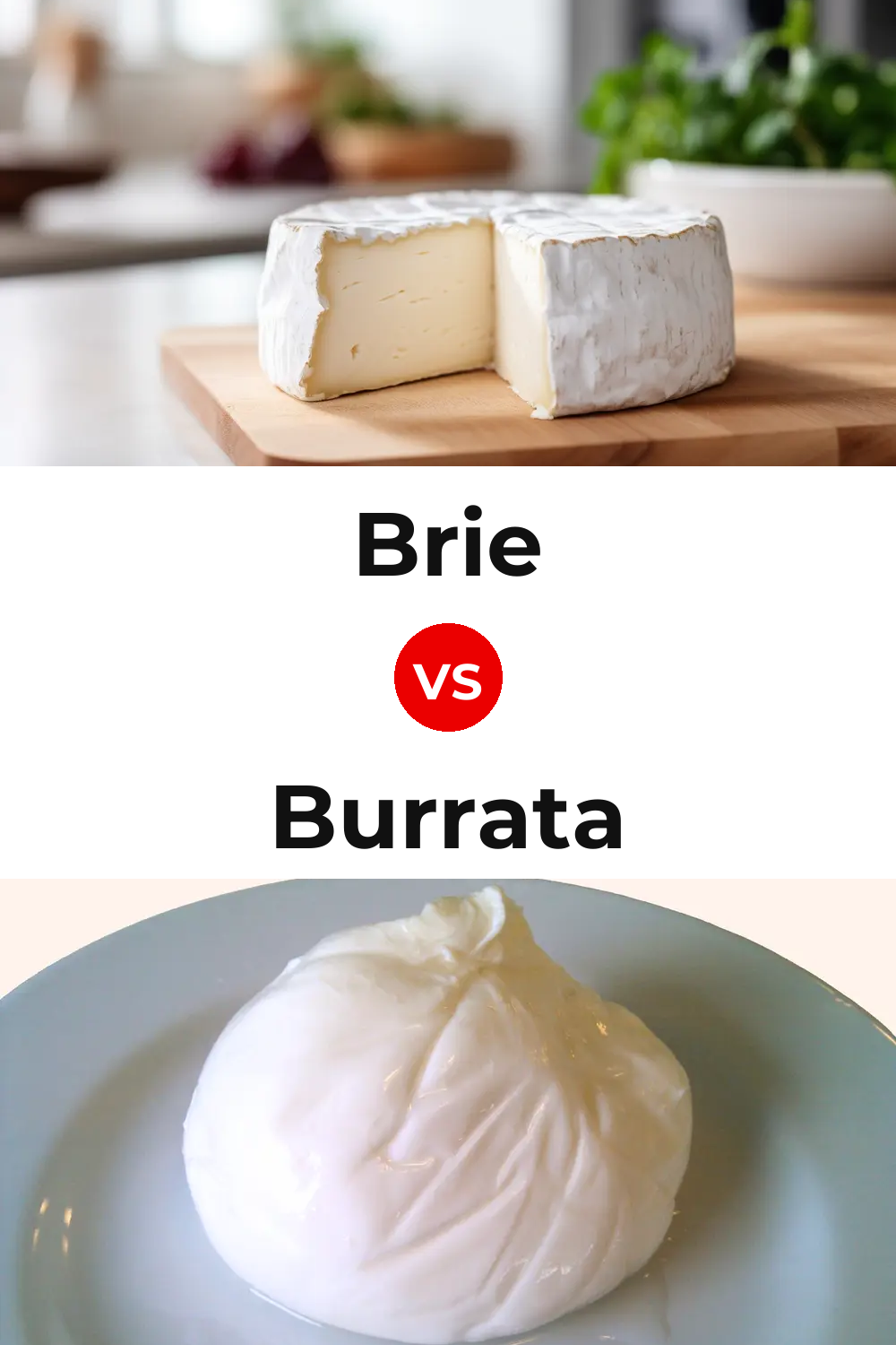 Brie Cheese vs Burrata Cheese Pinterest comparison