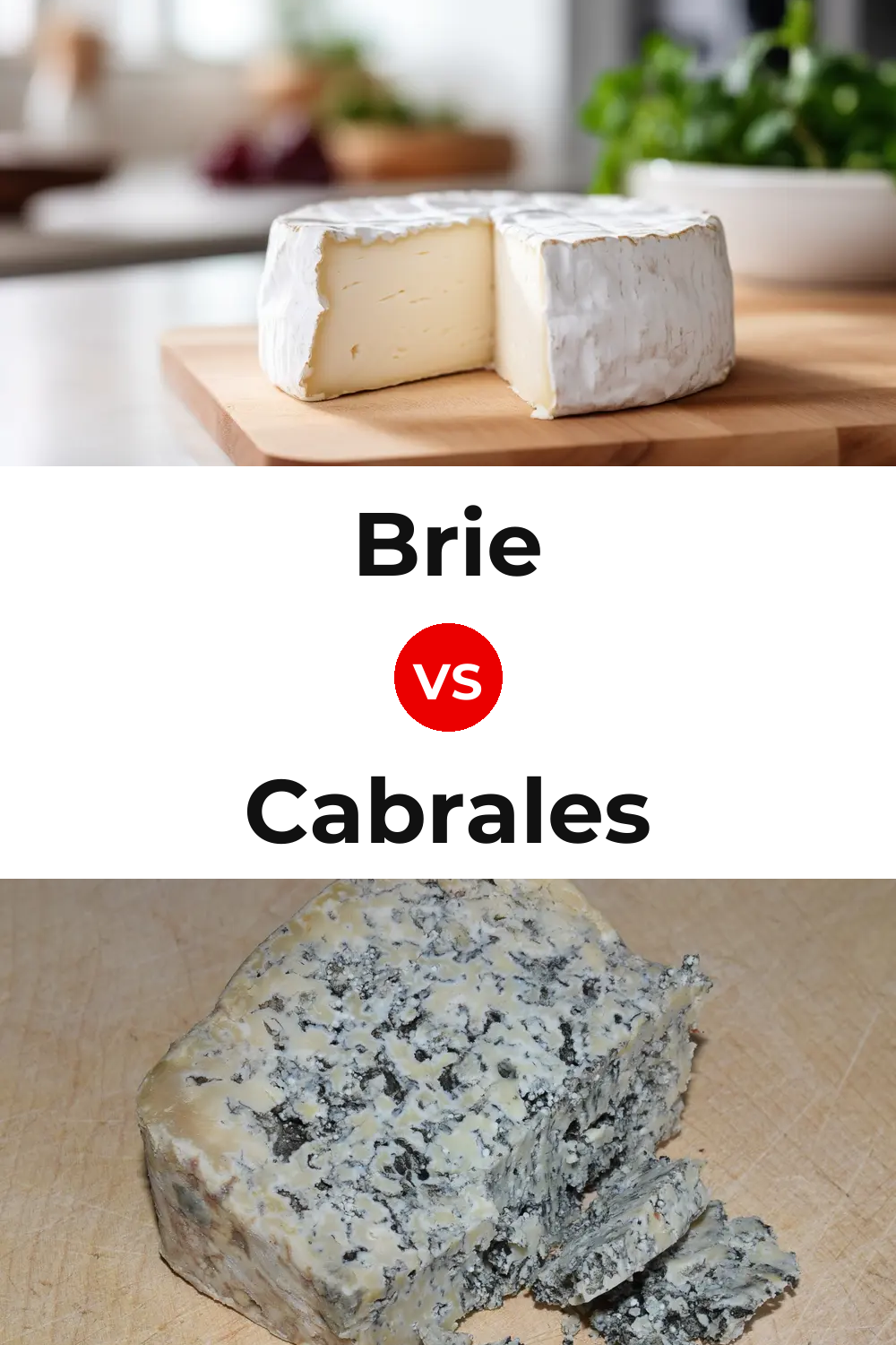 Brie Cheese vs Cabrales Cheese Pinterest comparison