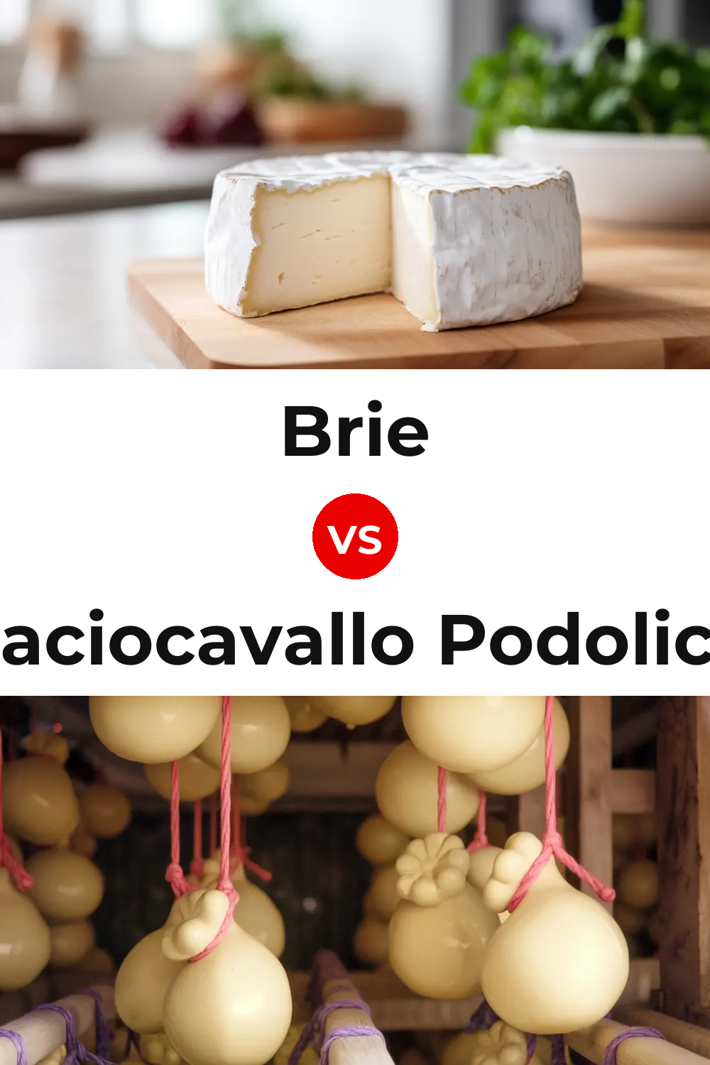 Brie Cheese vs Caciocavallo Podolico Cheese Pinterest comparison