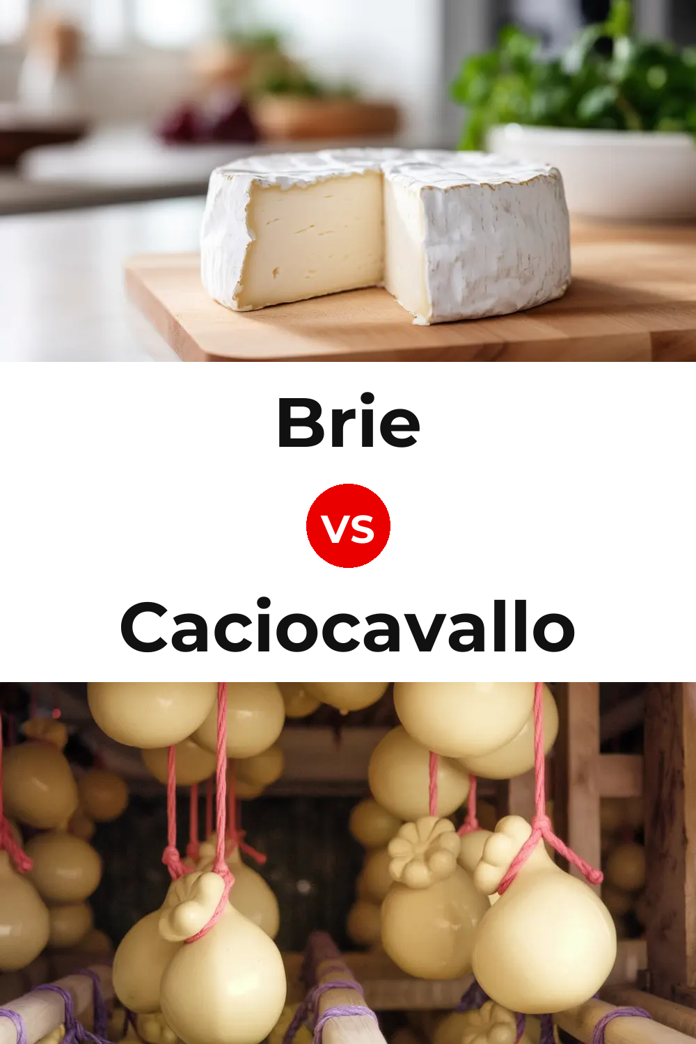 Brie Cheese vs Caciocavallo Cheese Pinterest comparison