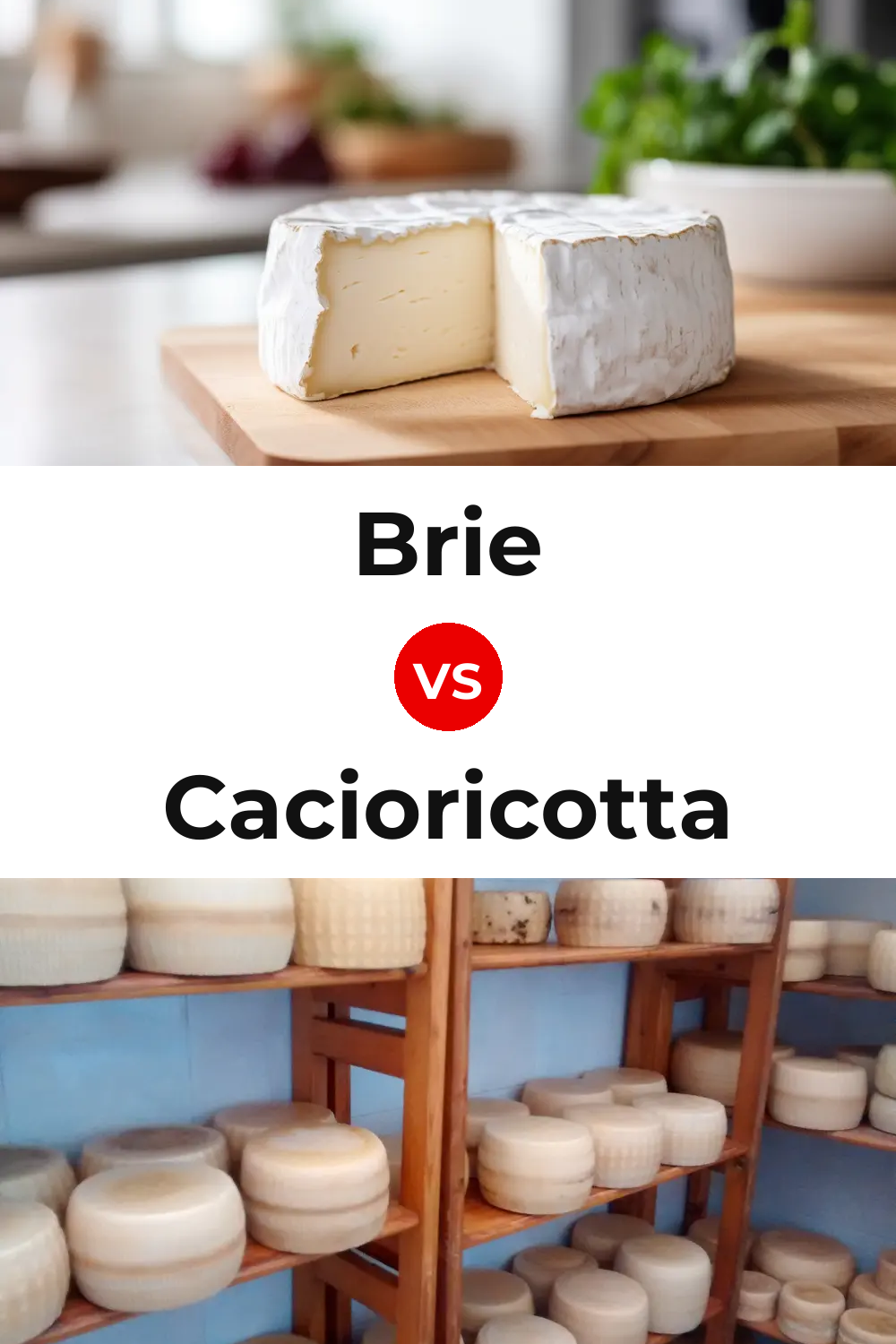 Brie Cheese vs Cacioricotta Cheese Pinterest comparison
