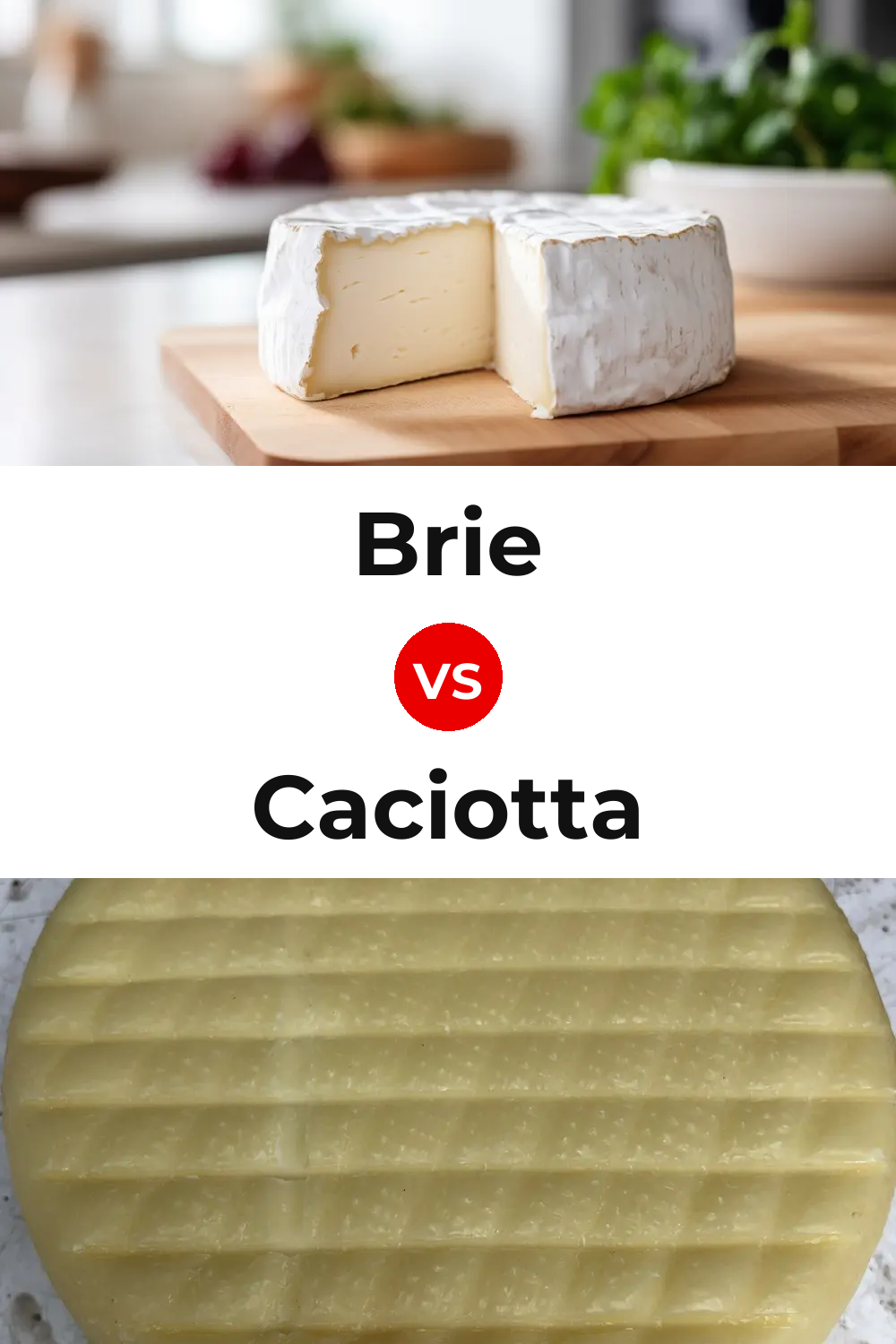 Brie Cheese vs Caciotta Cheese Pinterest comparison