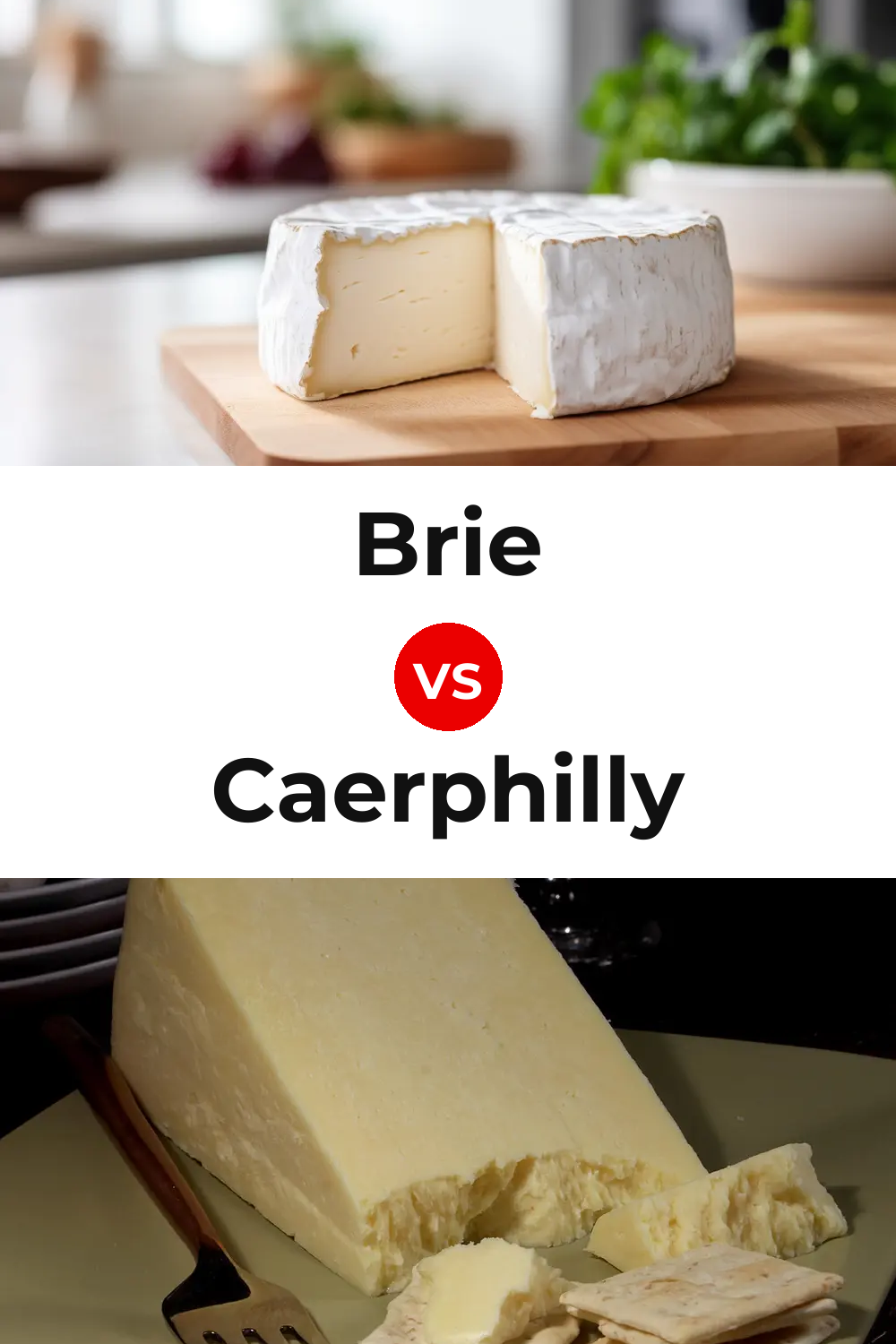 Brie Cheese vs Caerphilly Cheese Pinterest comparison