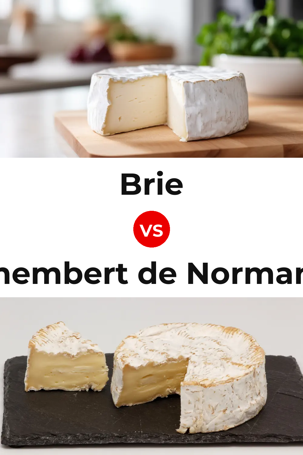 Brie Cheese vs Camembert de Normandie Cheese Pinterest comparison