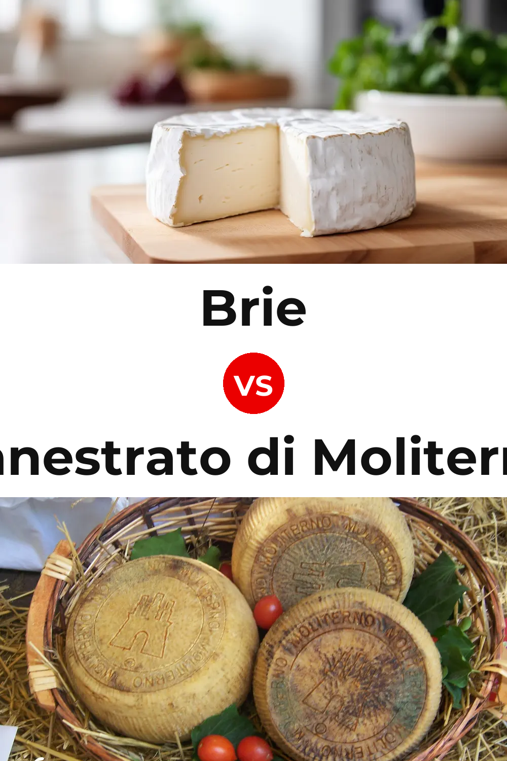 Brie Cheese vs Canestrato di Moliterno Cheese Pinterest comparison