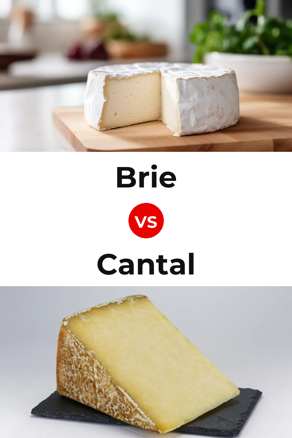 Brie Cheese vs Cantal Cheese Pinterest comparison