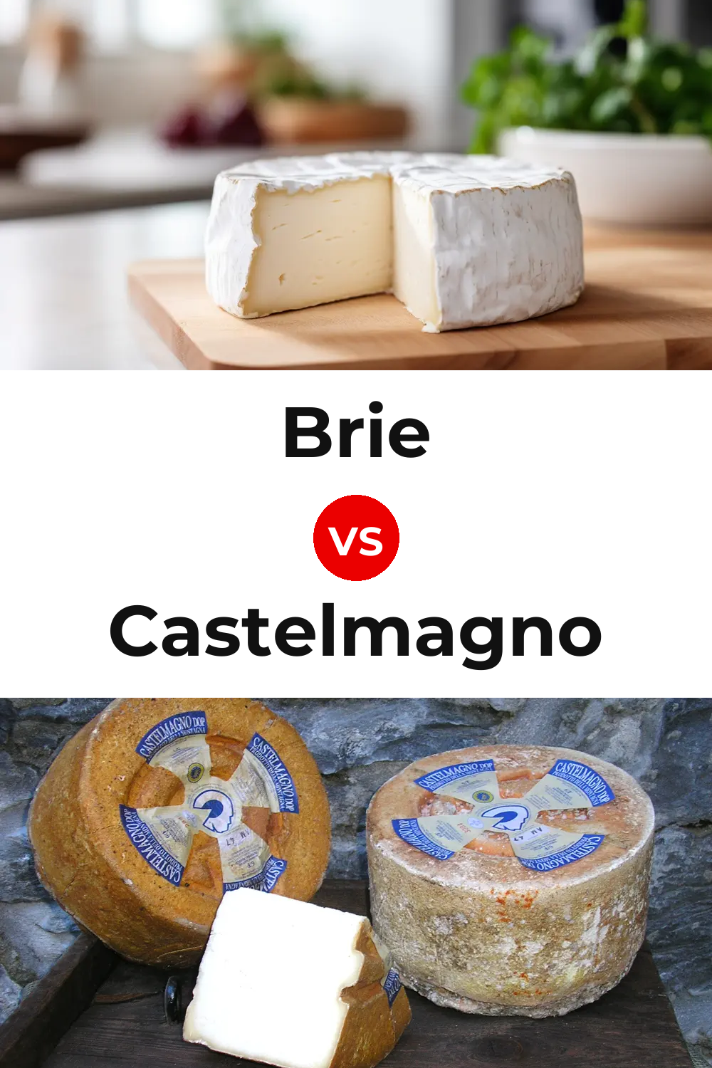 Brie Cheese vs Castelmagno Cheese Pinterest comparison
