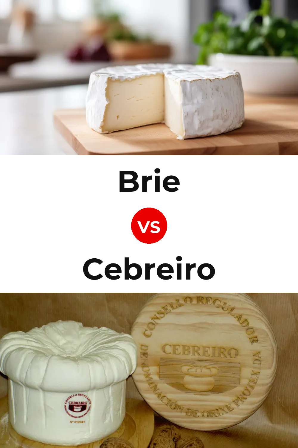 Brie Cheese vs Cebreiro Cheese Pinterest comparison