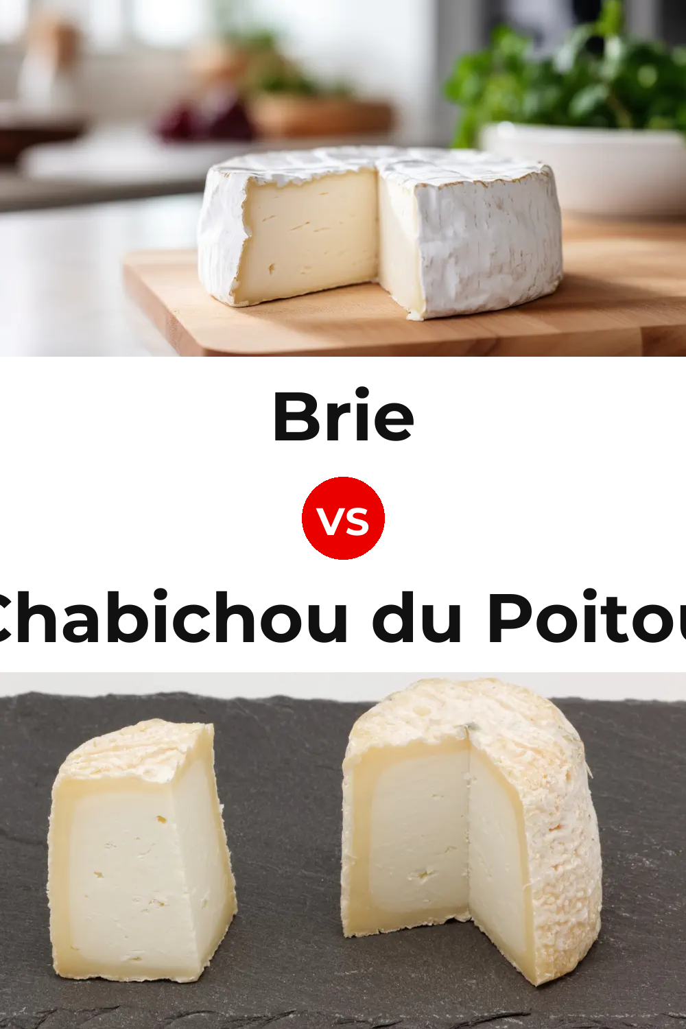 Brie Cheese vs Chabichou du Poitou Cheese Pinterest comparison