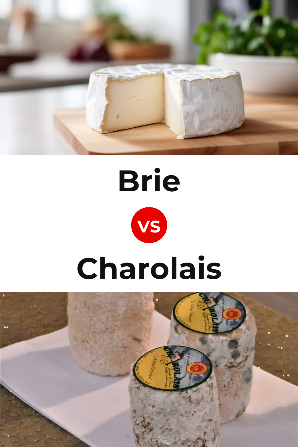Brie Cheese vs Charolais Cheese Pinterest comparison