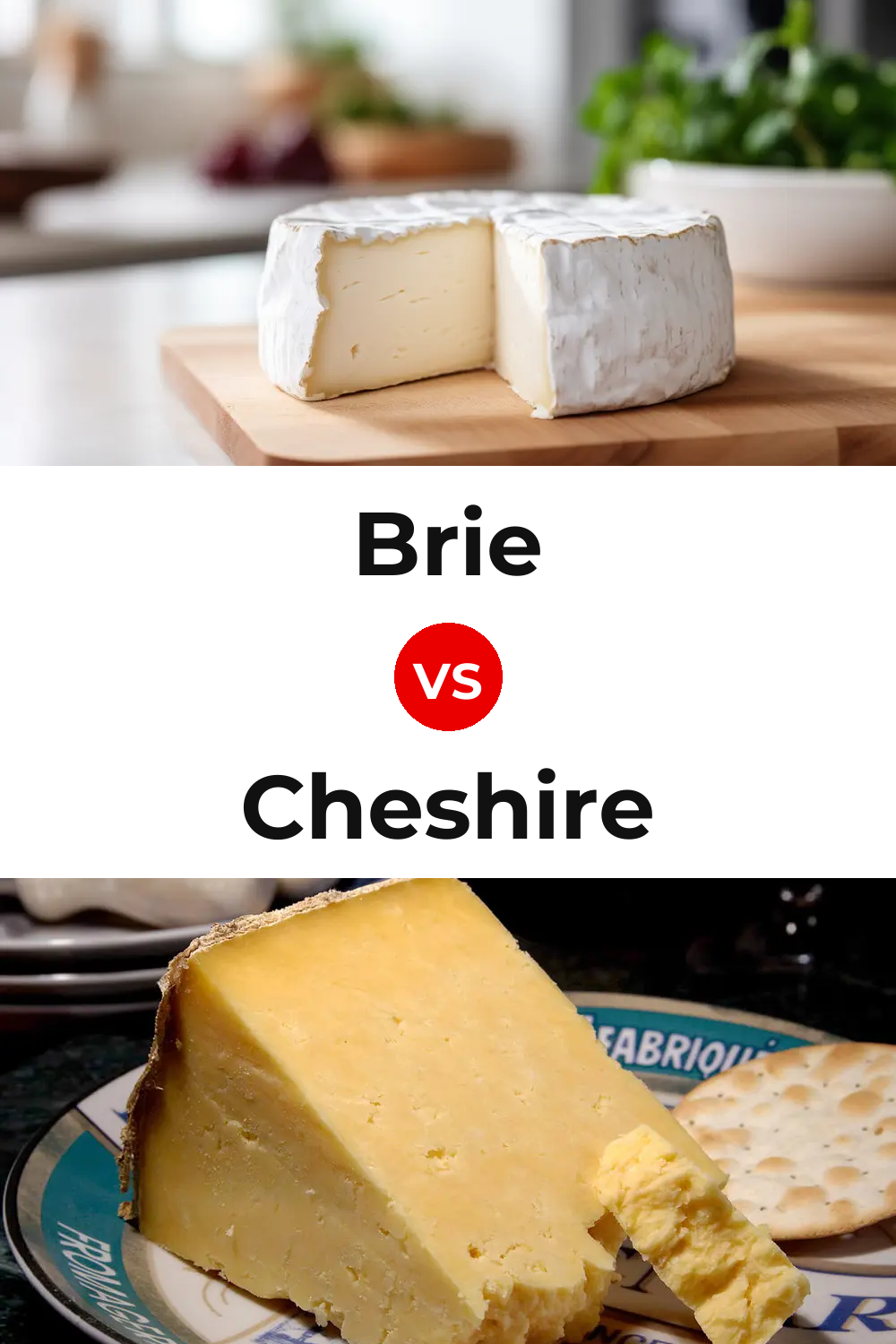 Brie Cheese vs Cheshire Cheese Pinterest comparison