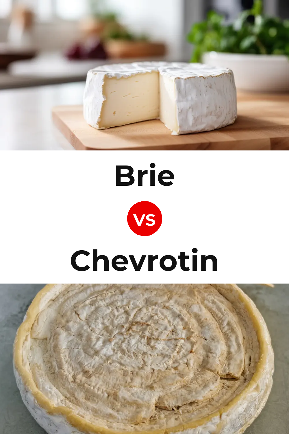 Brie Cheese vs Chevrotin Cheese Pinterest comparison