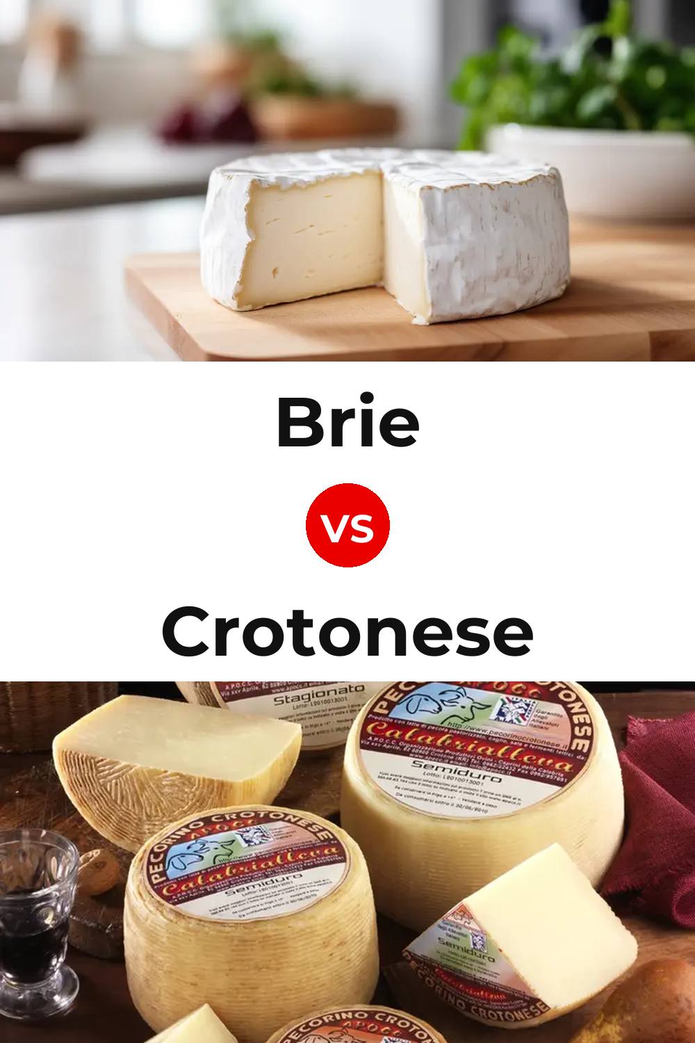 Brie Cheese vs Crotonese Cheese Pinterest comparison